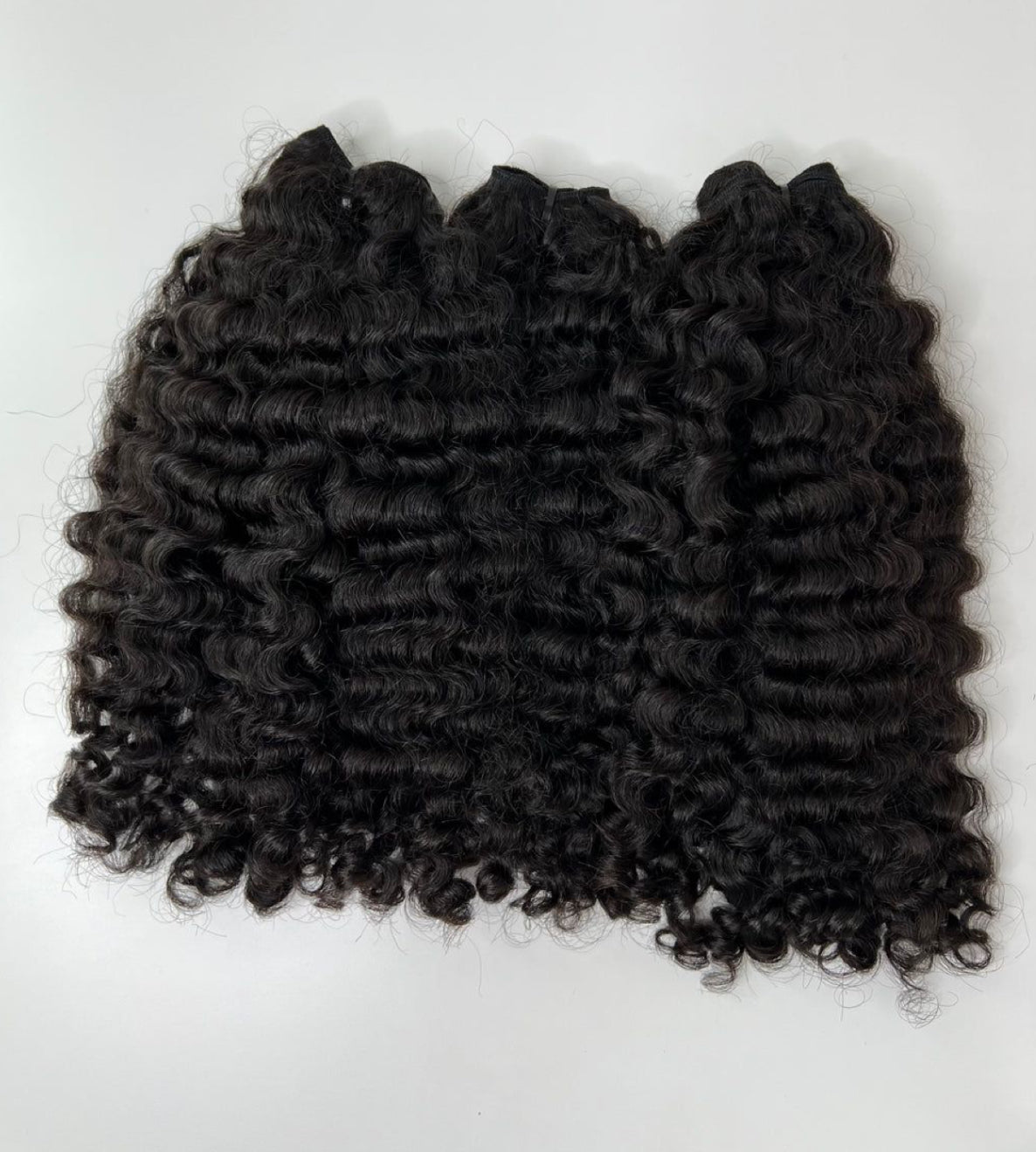 Bundle - Burmese curl