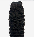 Bundle - Burmese curl