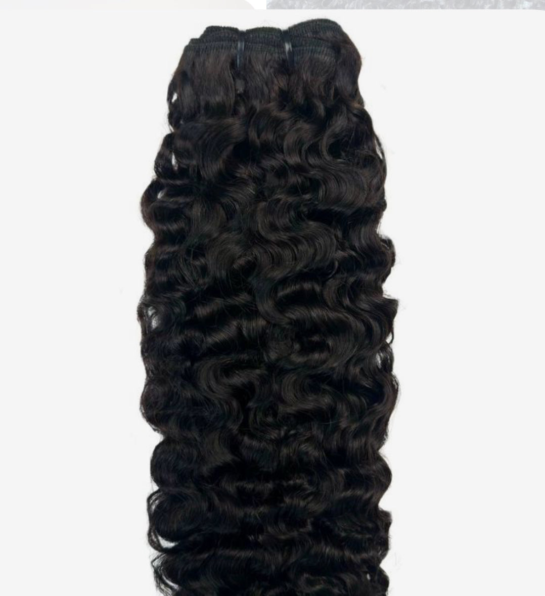 Bundle - Burmese curl