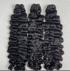 Bundle - Burmese curl