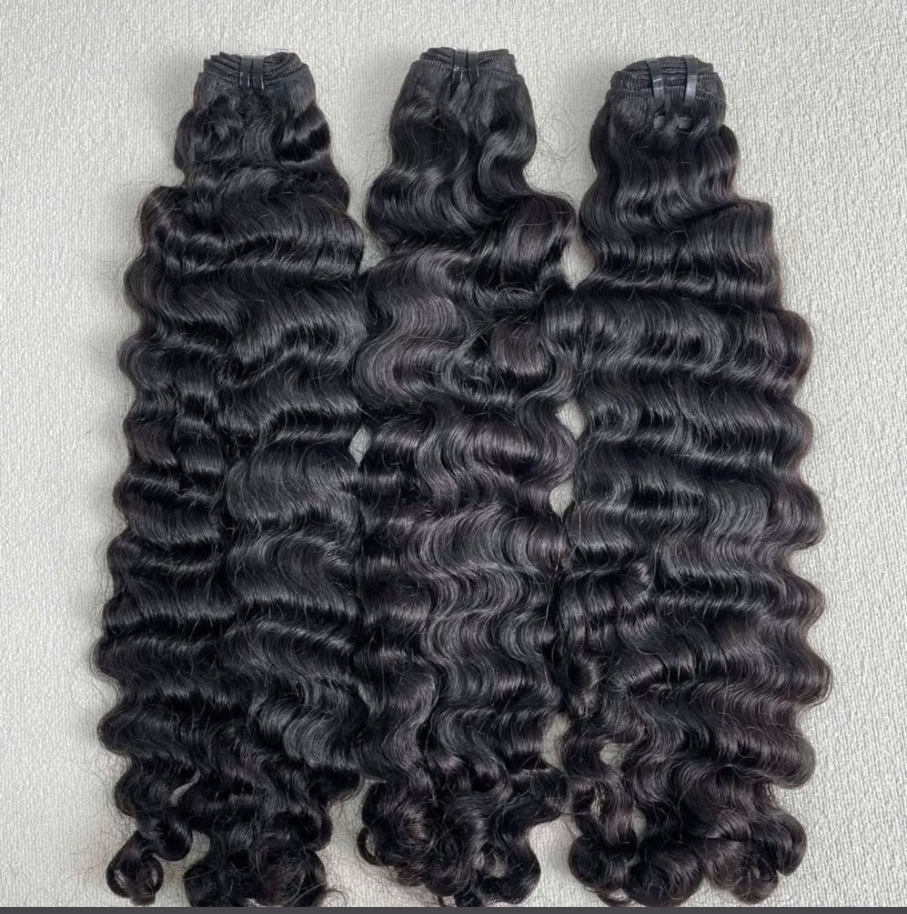 Bundle - Burmese curl